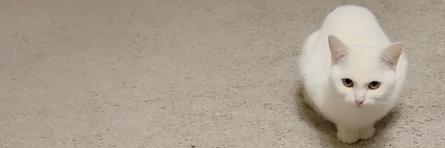 69 динозавров🦖 banner