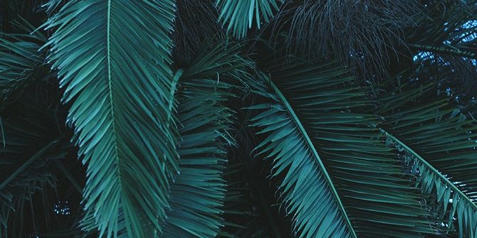CharlieGuidarel's profile banner image