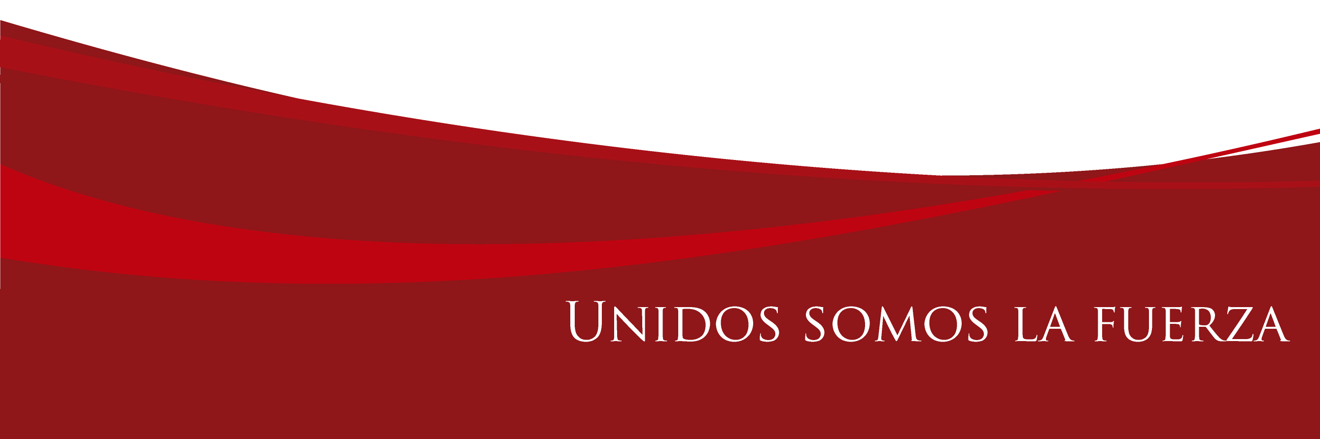 fsxmexico's profile banner image