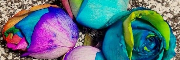unjidos's profile banner image