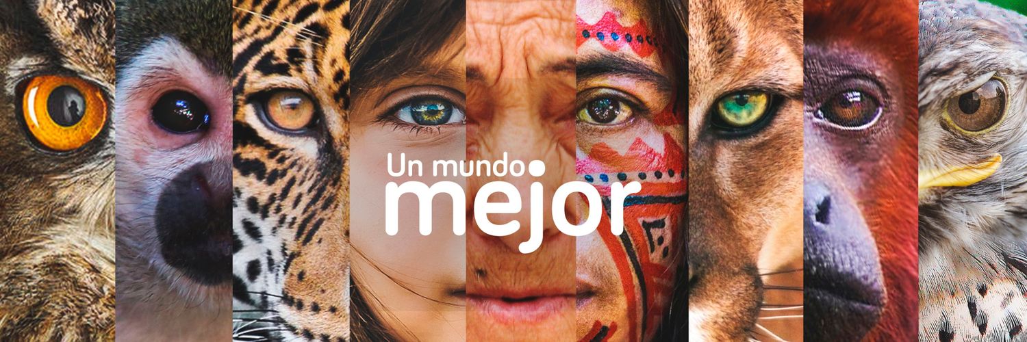 MasbosquesCol's profile banner image