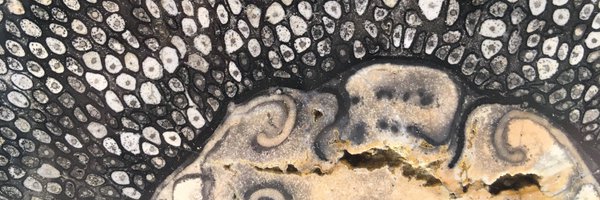 lothar_kalmbach Profile Banner