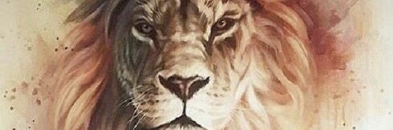 _sagarcia's profile banner image