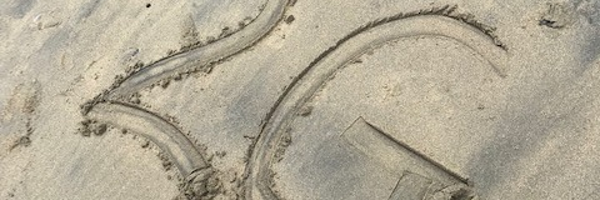 guenardd Profile Banner