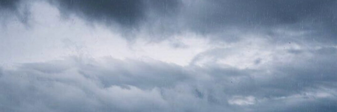 llberryll's profile banner image