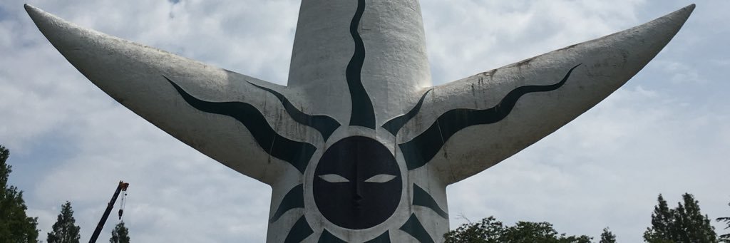 codroevn's profile banner image