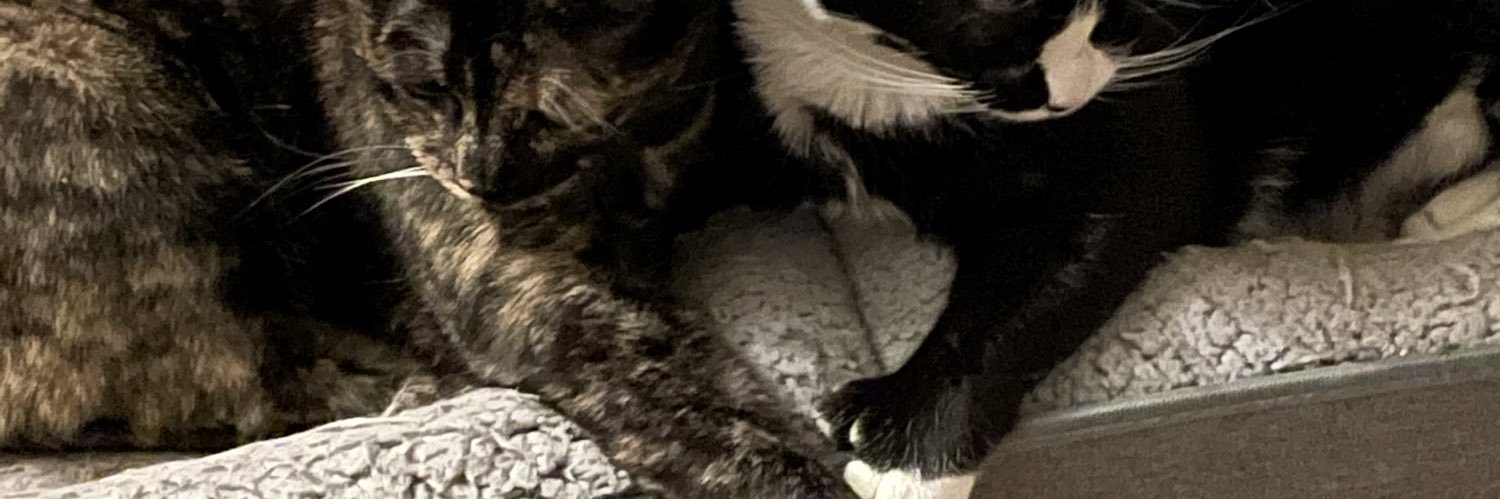 F. Page Steinhardt banner