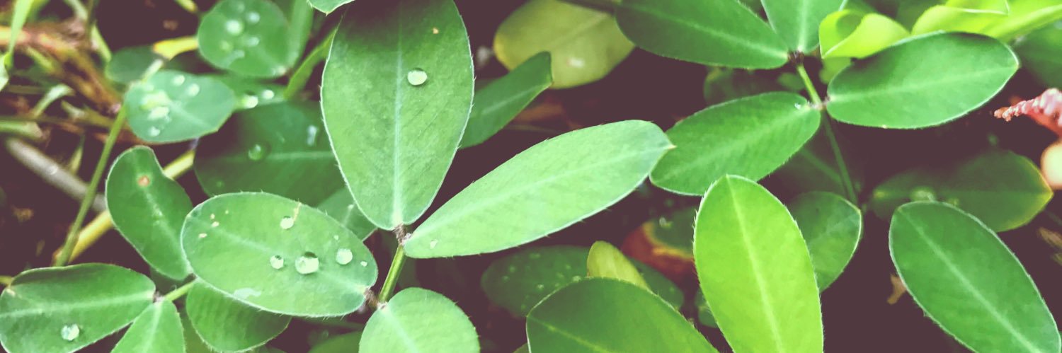 vanessa002_'s profile banner image