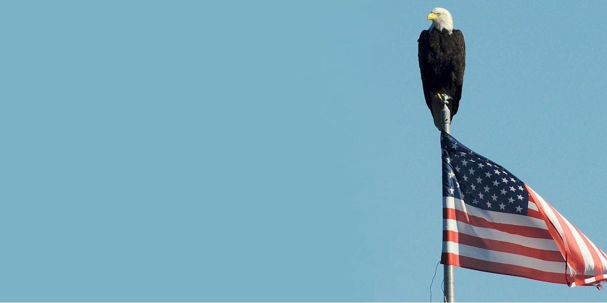 OzPNNL's profile banner image