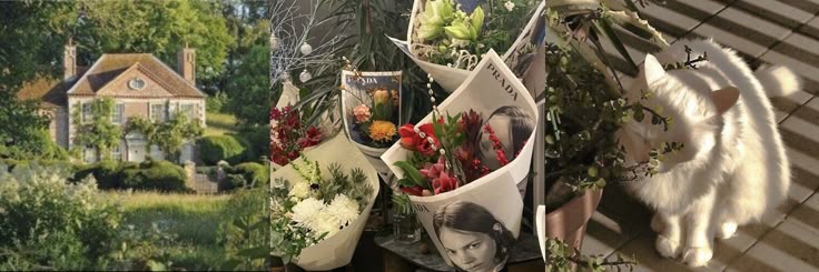 elea⋆.𐙚 ̊ banner