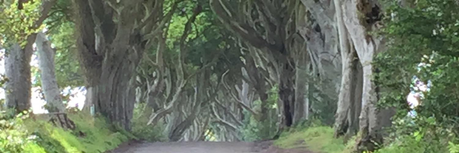 rach30cockerill's profile banner image