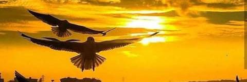 katty_jmz's profile banner image