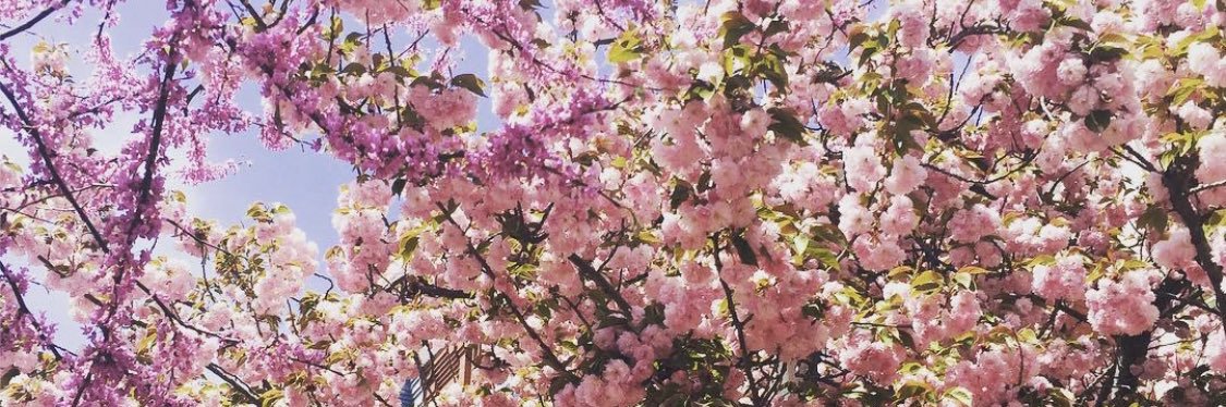 chandlerdunn_'s profile banner image
