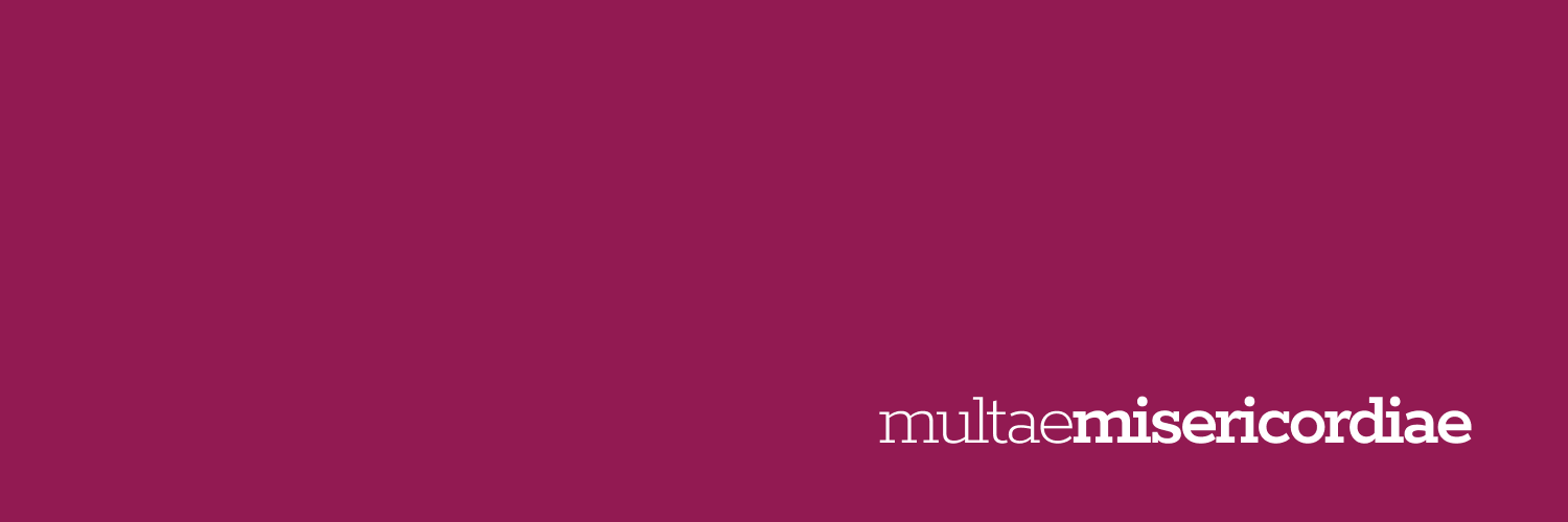 hdaddesantacruz's profile banner image