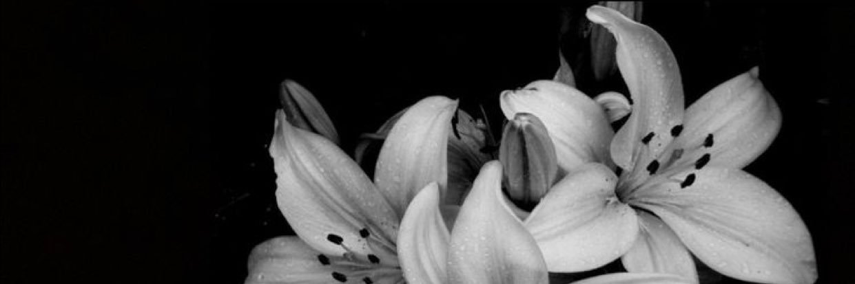 Toovy6732's profile banner image