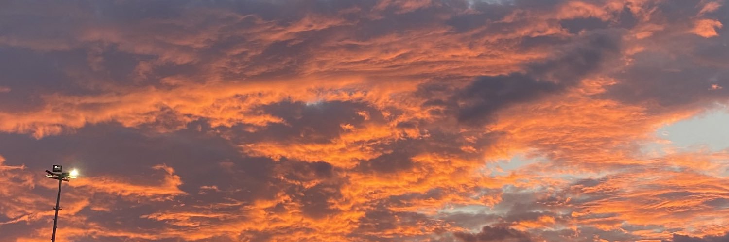 ferigtz00's profile banner image