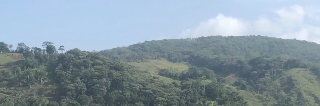 Josefa Mejía banner