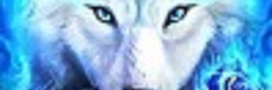 🇺🇲Adam J Shaffer banner