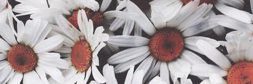 imhelengdr's profile banner image