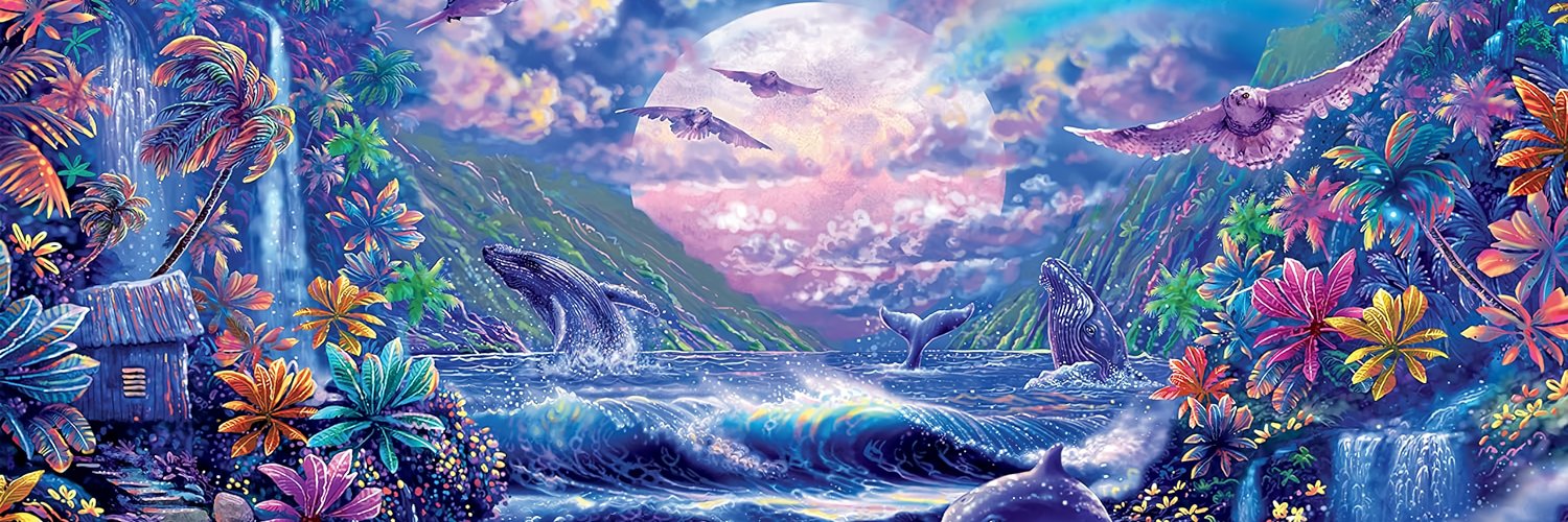 NAUTICA! 𓇼｡˚○ banner