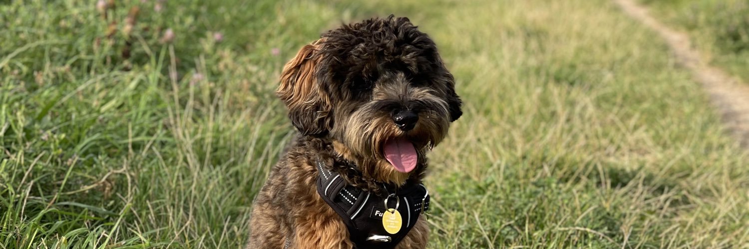 Andrew Samms 👊🏾 banner