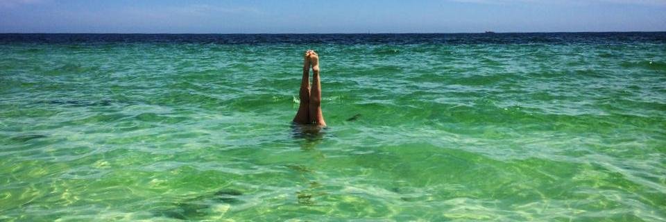 Michelle Soia banner