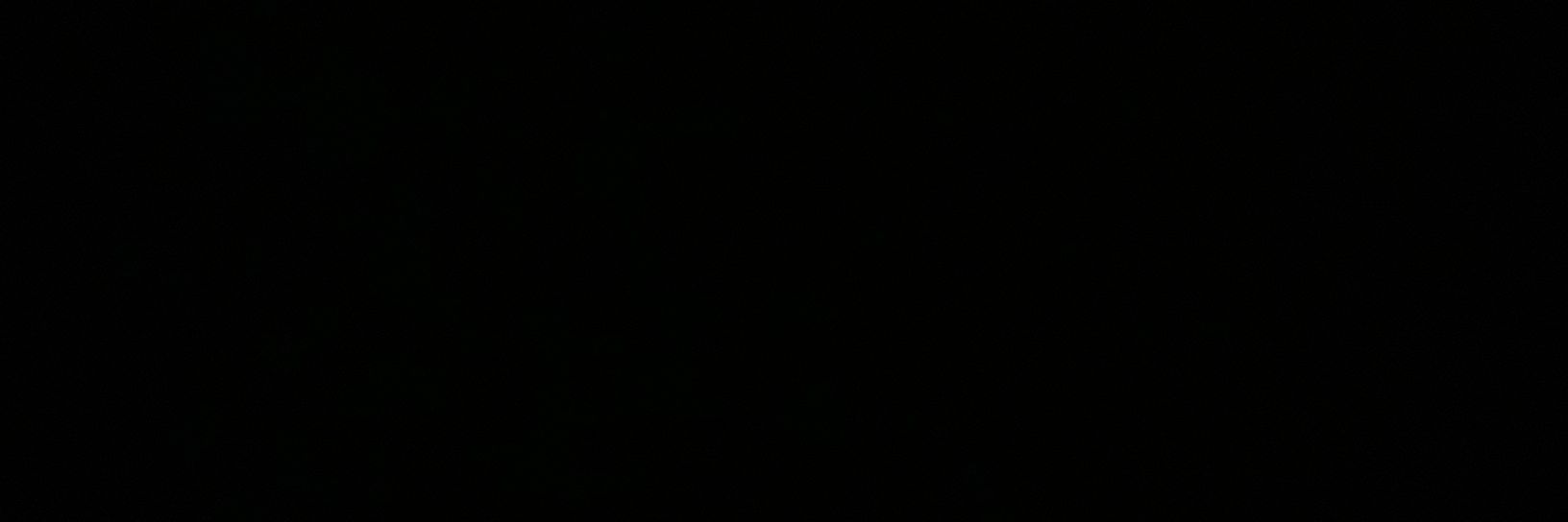 ainuj_'s profile banner image