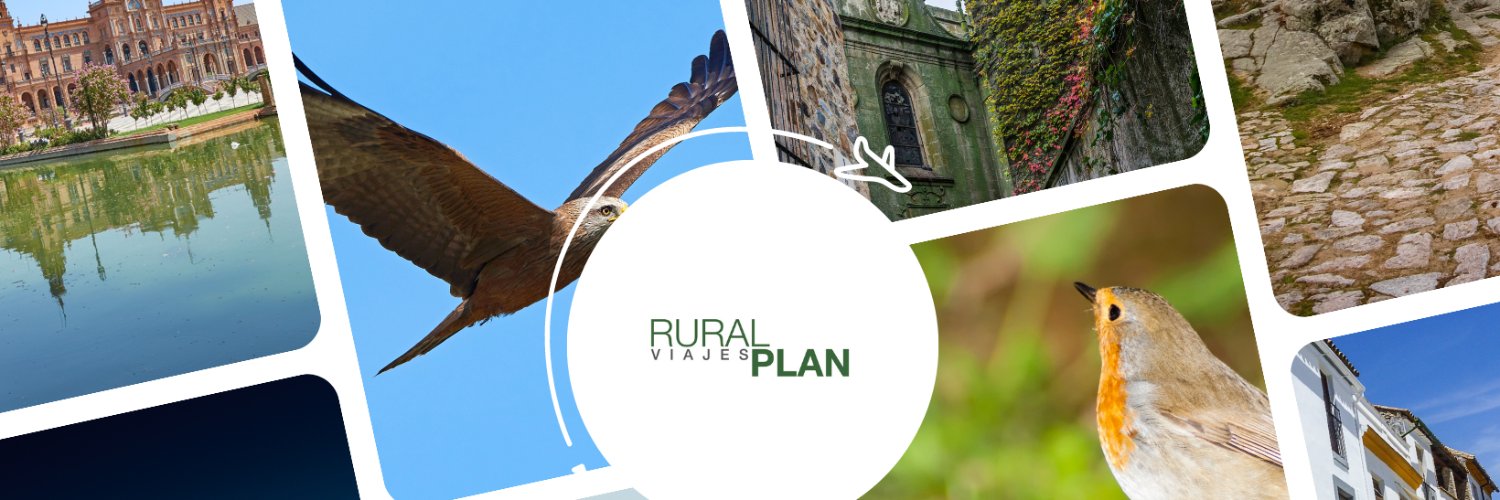 Ruralplan's profile banner image