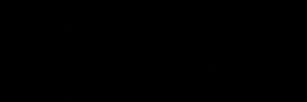 montrroy Profile Banner