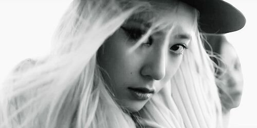 fxshuu's profile banner image
