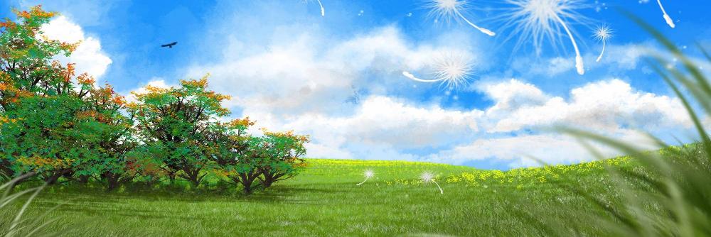 AnySeasons's profile banner image