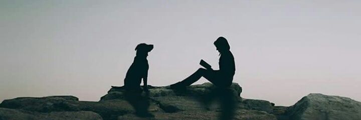 stefyyruizz's profile banner image