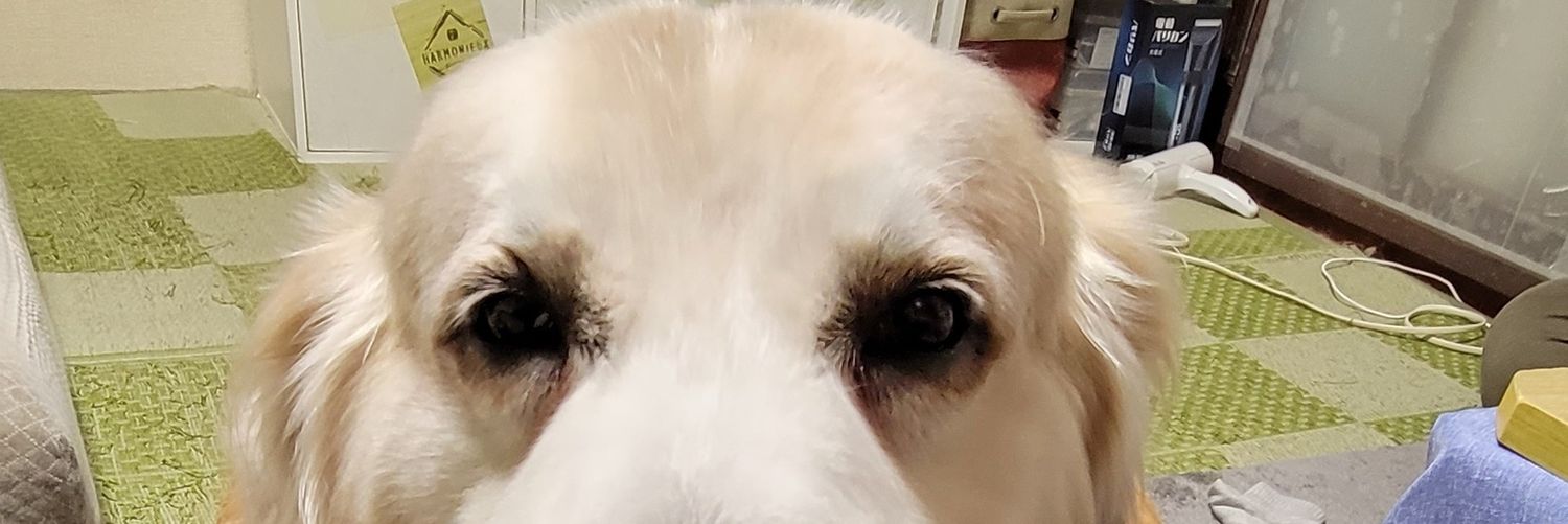 syu19771's profile banner image