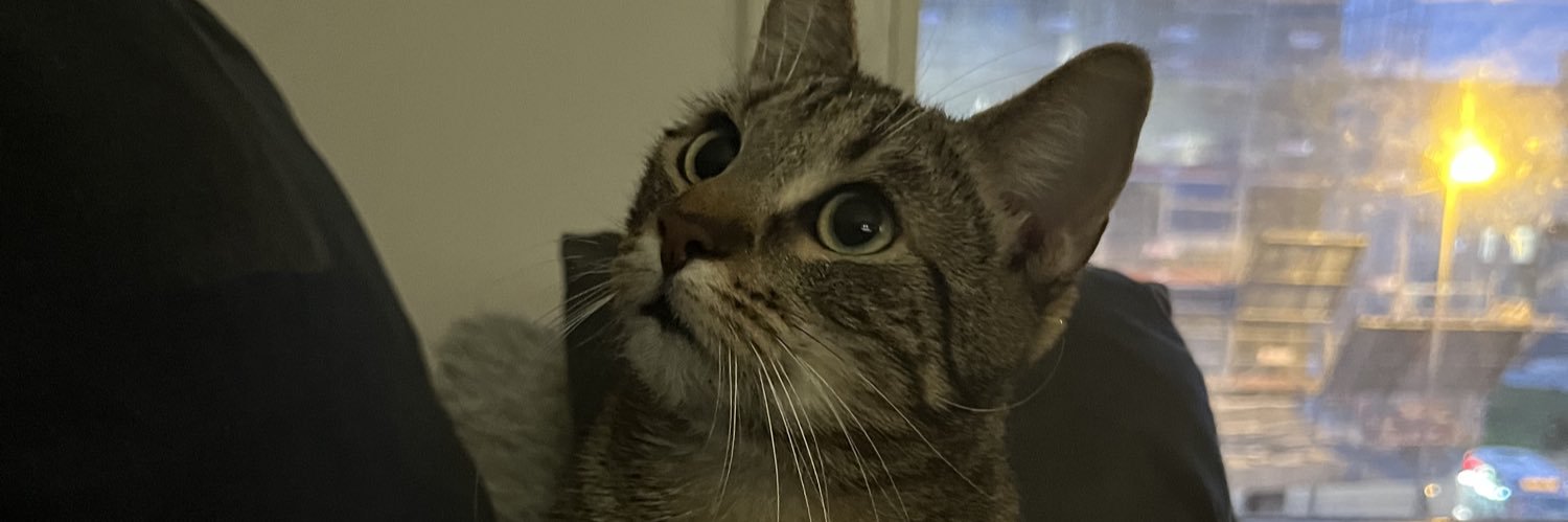 Nvissa__'s profile banner image