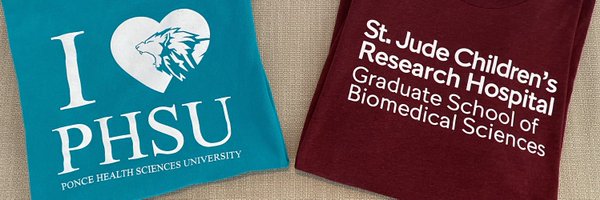 RMisla Profile Banner