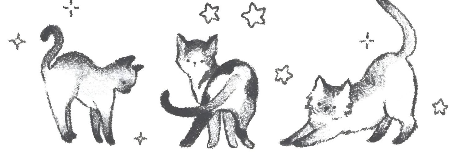 nicolouca's profile banner image