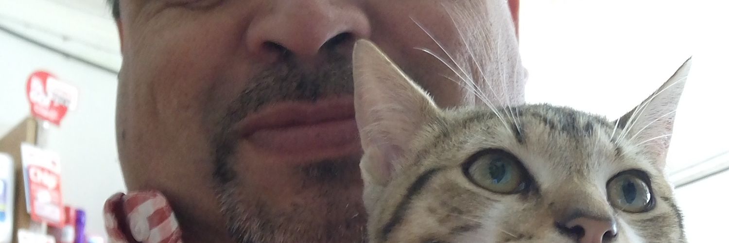 piturrietatoro's profile banner image