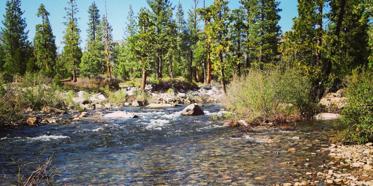 Breanna Martinico banner