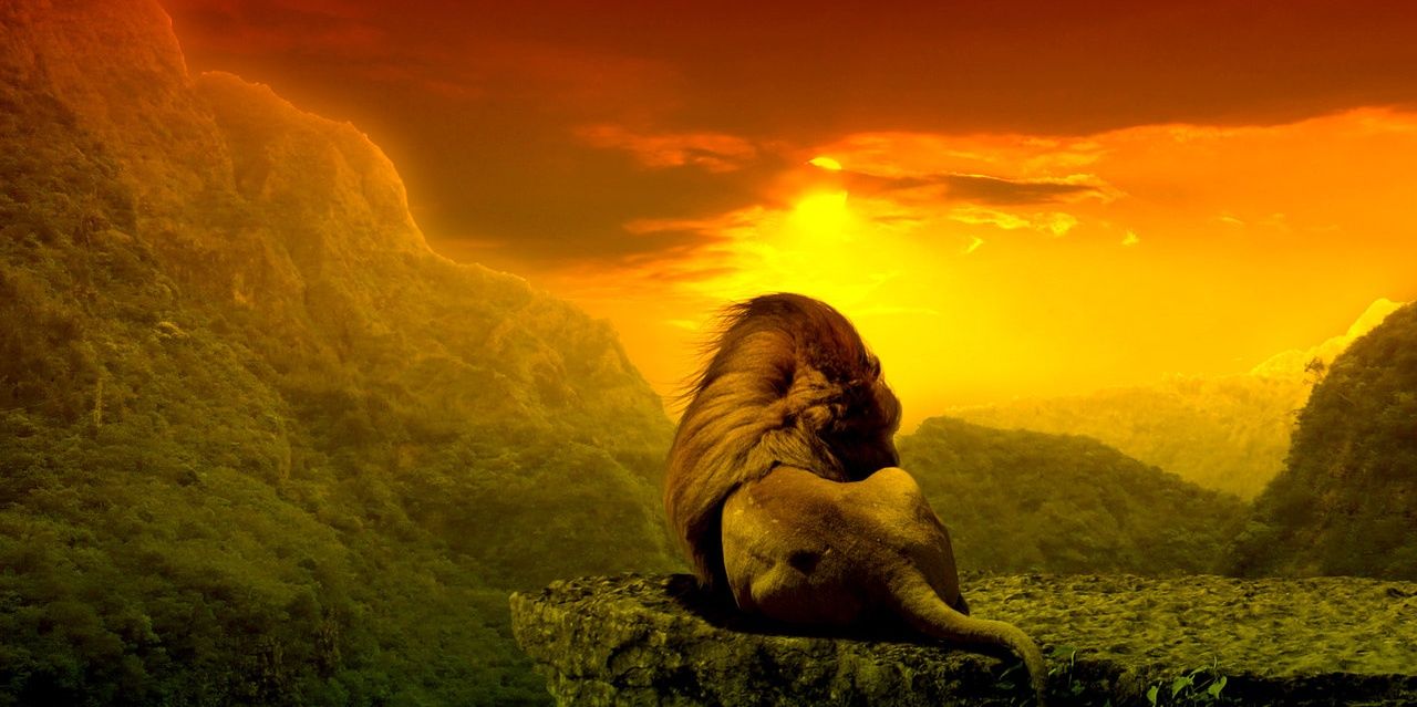DarylInDstreetz's profile banner image