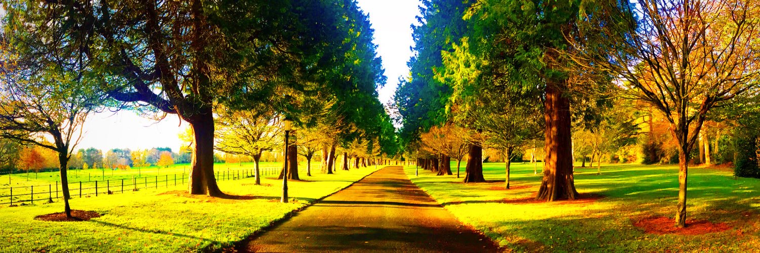 Emma G.Slevin banner