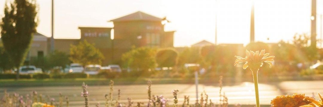 web20183's profile banner image