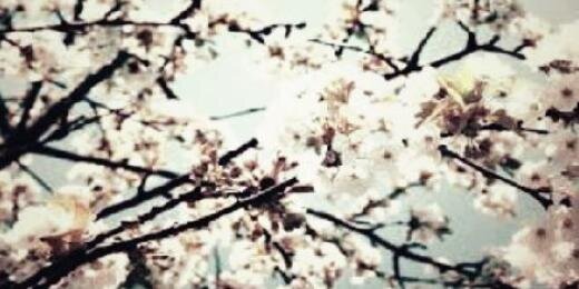 BuffingtonRP's profile banner image