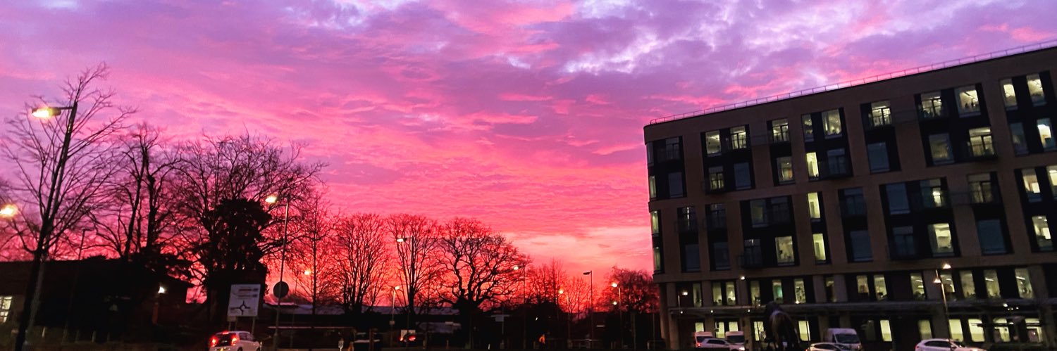 Bethany Rogers banner