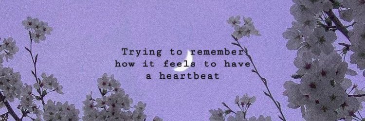lullydirection's profile banner image