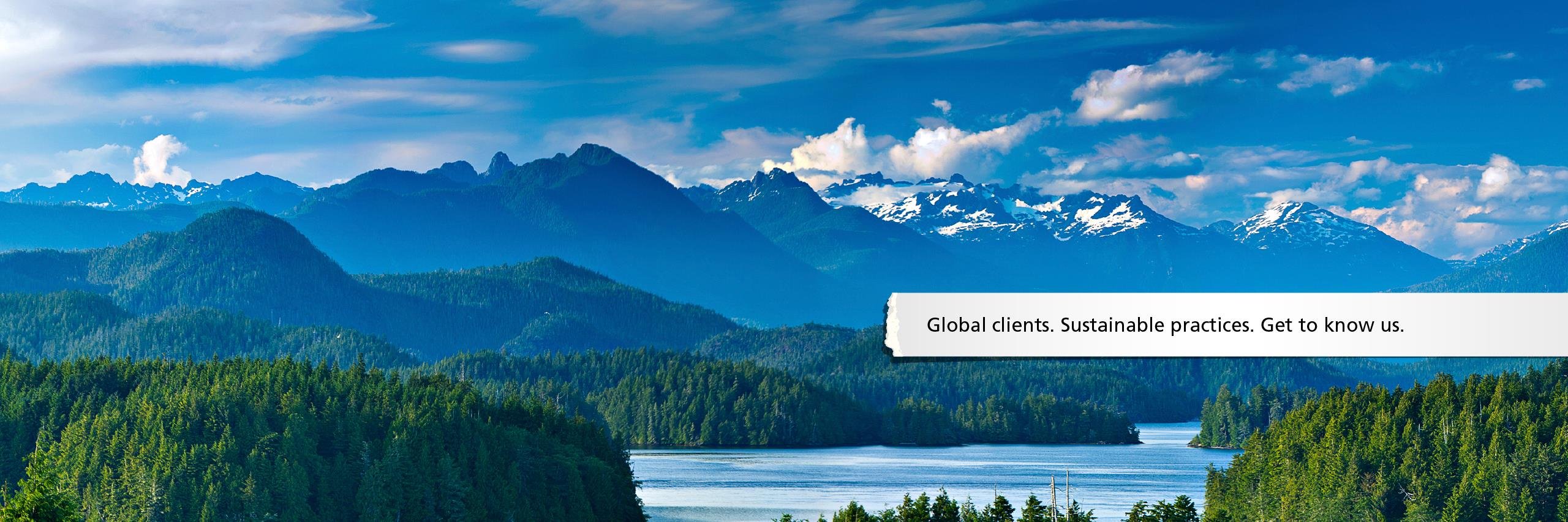 catalystpaper's profile banner image