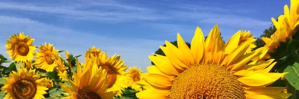 tedgecomb's profile banner image