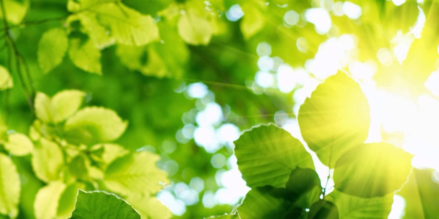 Omar_y82's profile banner image