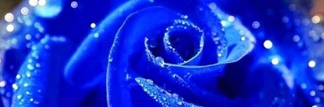 el1001's profile banner image