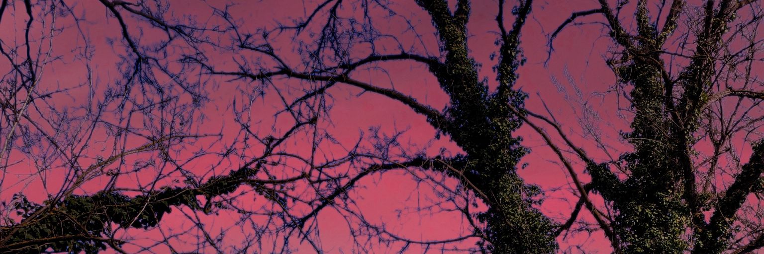 MACA1958's profile banner image
