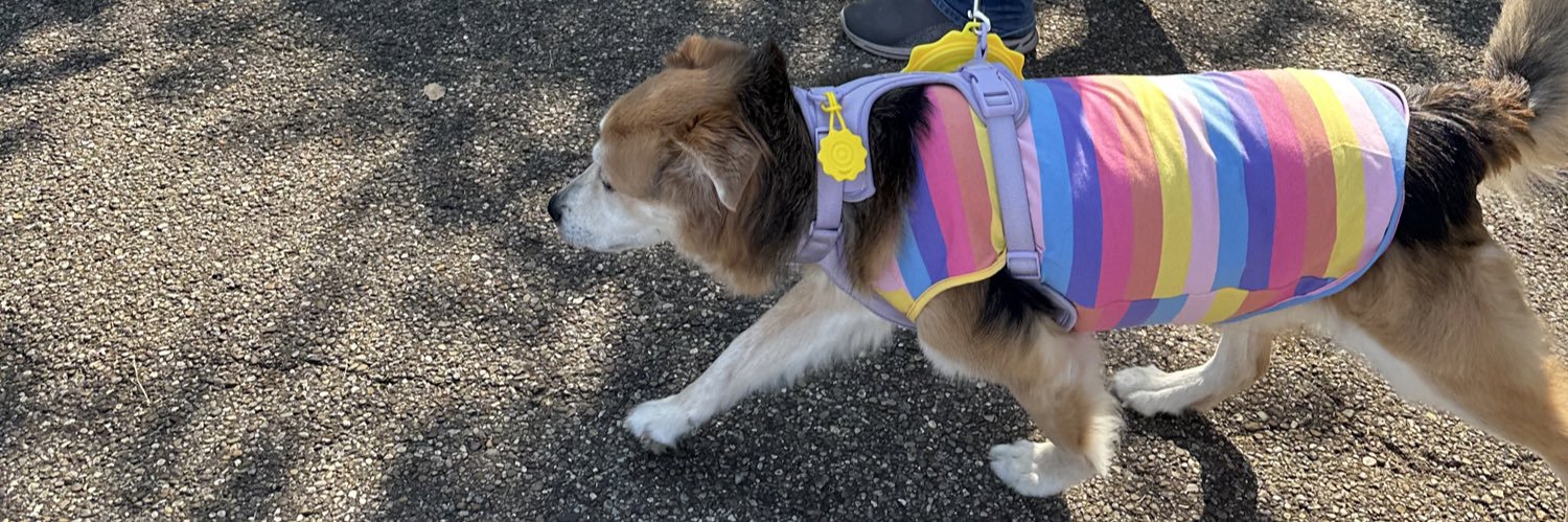 CabbageClay's profile banner image